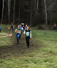 Veckans bild v 41 2010