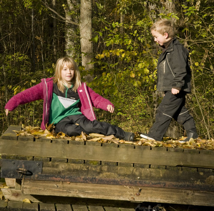 Veckans bild v 42 2010