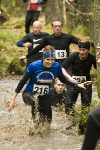Veckans bild v 43 2012