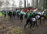 Veckans bild v 01 2019
