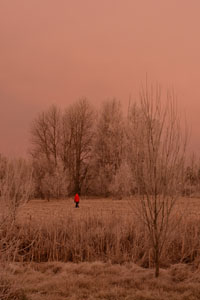 Veckans bild v 02 2019