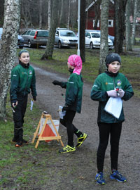 Veckans bild v 08 2019