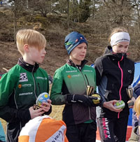 Veckans bild v 14 2019