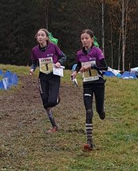 Veckans bild v 44 2019