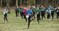 Veckans bild v 01 2025