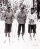 Vinter_-_Trio_pa_skidor.jpg