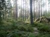 morstorp002.JPG