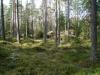 morstorp011.JPG