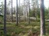 morstorp017.JPG