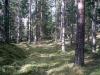 morstorp019.JPG