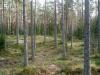 morstorp027.JPG