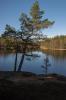 varspringet2016_002.jpg