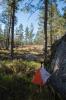 varspringet2016_003.jpg